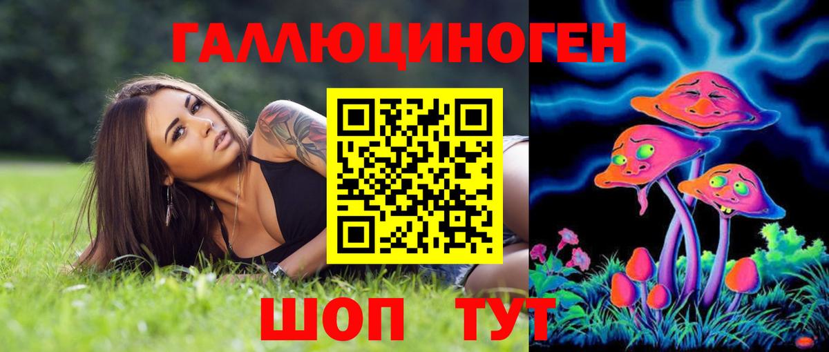 Псилоцибиновые грибы GOLDEN TEACHER  Вход с VPN  Сафоново  Псилоцибиновые грибы Psilocybe 